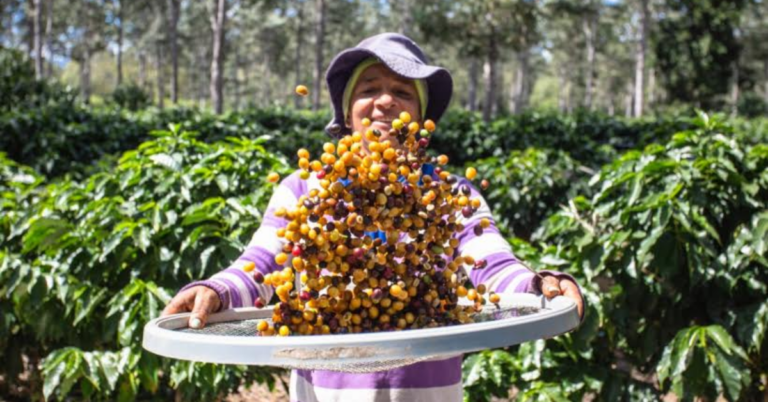Governo da Bahia aposta no turismo rural para valorizar cafés especiais do Planalto da Conquista
