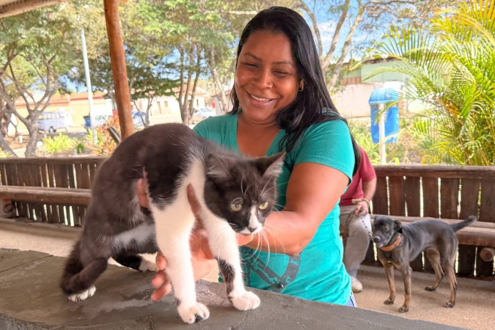 Prefeitura de Vitória da Conquista realiza repescagem da Campanha de Vacinação Antirrábica a partir desta segunda-feira (8)