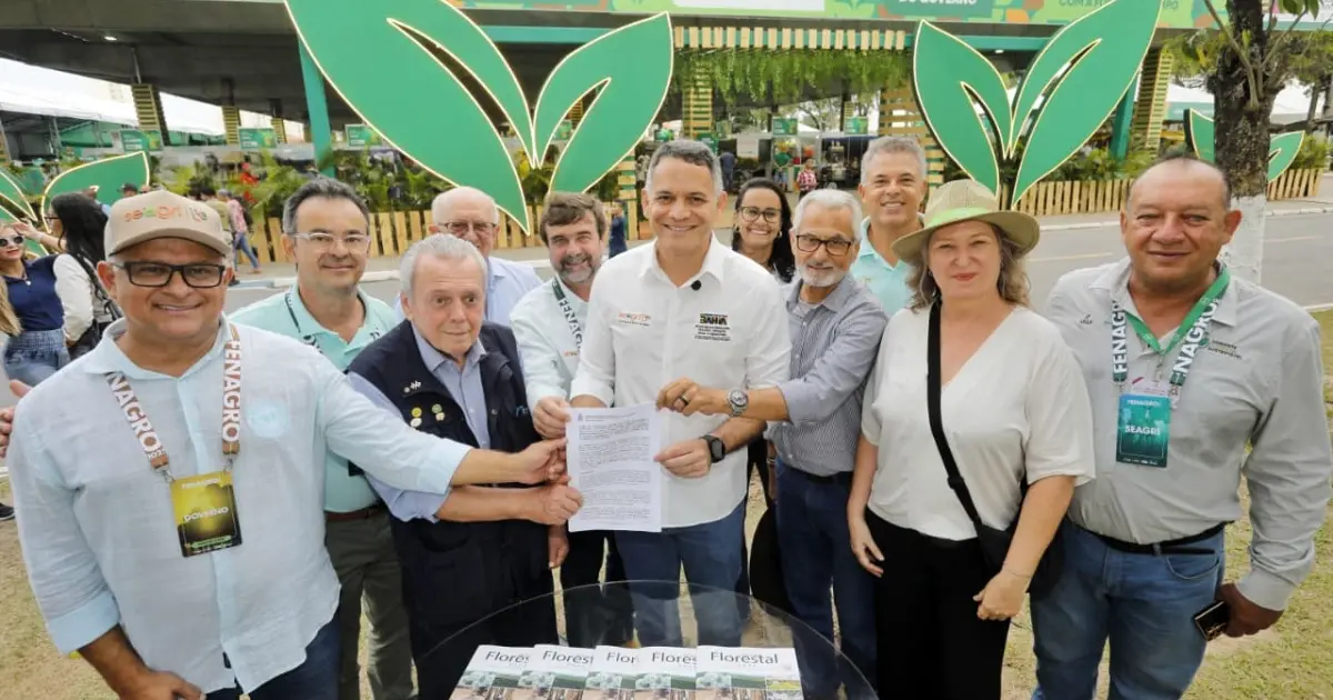 Bahia inicia projeto de arborização urbana em dez cidades
