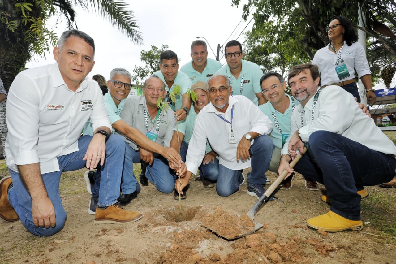 Dez cidades baianas serão arborizadas com espécies nativas e frutíferas em parceria da Seagri e ABAF