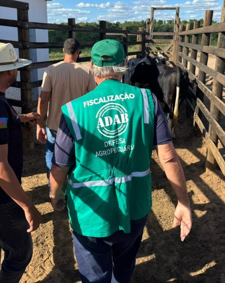 Adab intensifica acompanhamento de feiras de animais em todo o estado