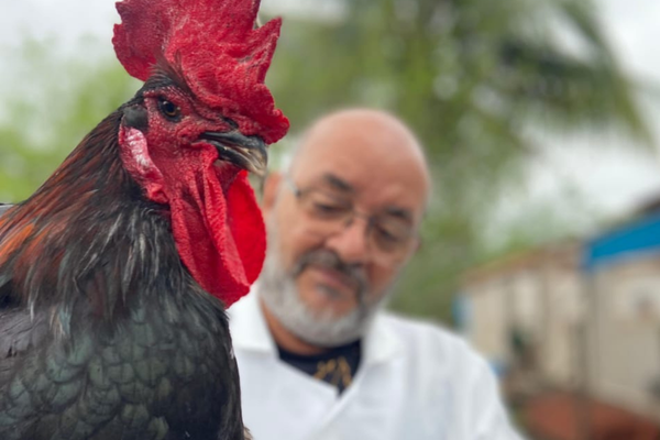 Lei reconhece aves estudadas na Uesb como patrimônio genético de Itapetinga
