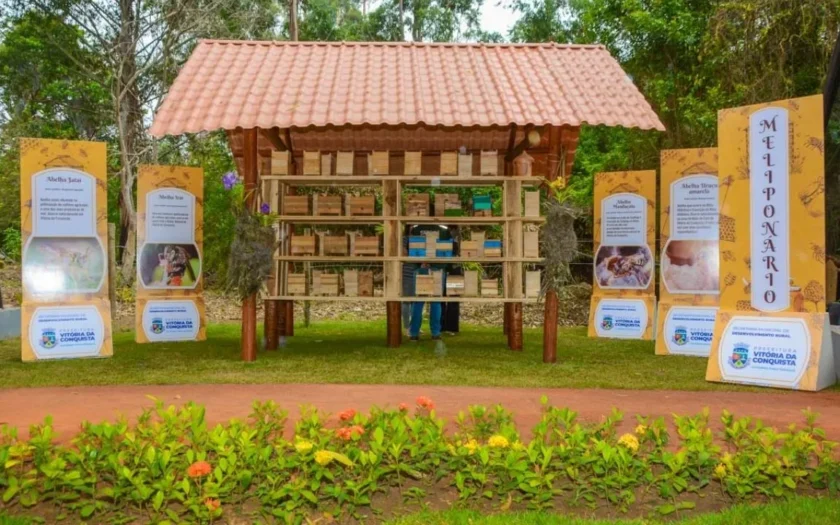 Vitória da Conquista reconhece abelhas sem ferrão como patrimônio natural do município