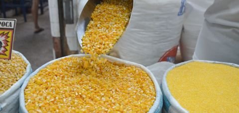 Safra recorde mantém Bahia entre os maiores produtores de grãos do país