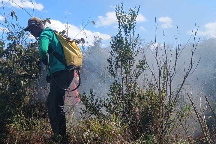 Brigada de Vitória da Conquista combate 353 focos de incêndio em dois meses